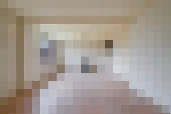 Kanaaldijk 3 Nederweert thumbnail 39