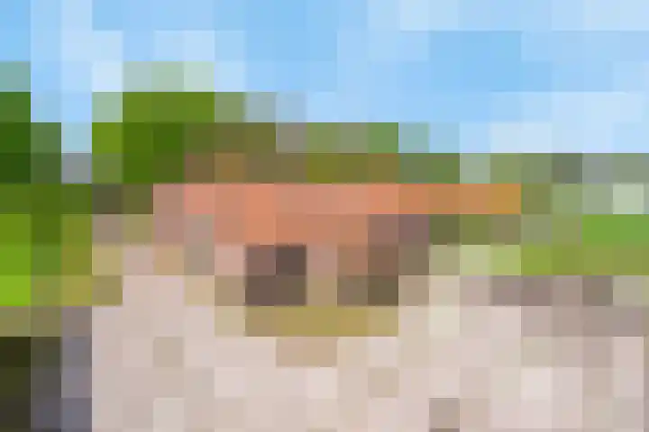 Kanaaldijk 3 Nederweert thumbnail 4