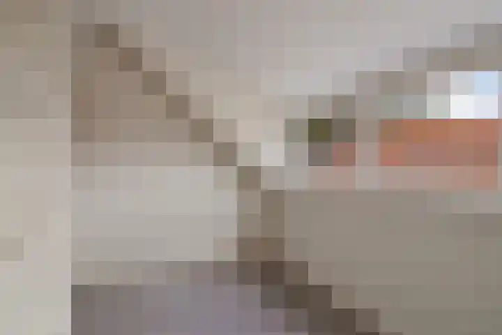 Kanaaldijk 3 Nederweert thumbnail 44
