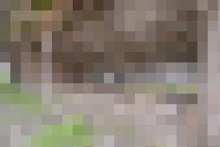 Kanaaldijk 3 Nederweert thumbnail 50