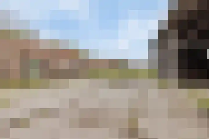 Kanaaldijk 3 Nederweert thumbnail 54
