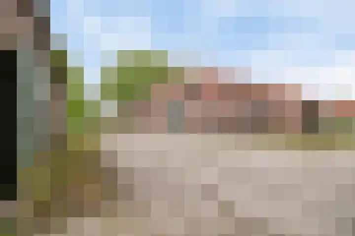 Kanaaldijk 3 Nederweert thumbnail 56