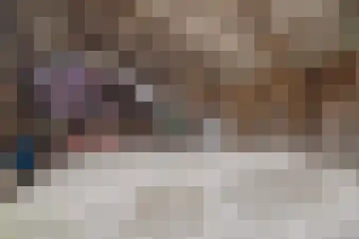 Kanaaldijk 3 Nederweert thumbnail 59