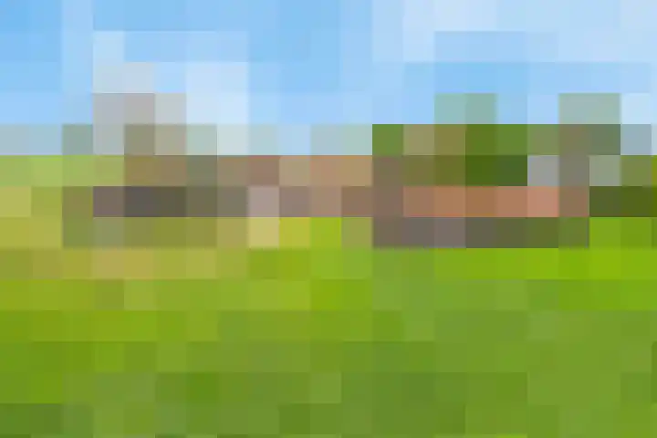 Kanaaldijk 3 Nederweert thumbnail 6