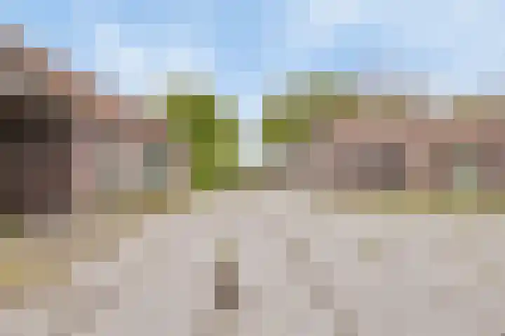 Kanaaldijk 3 Nederweert thumbnail 61