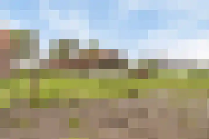 Kanaaldijk 3 Nederweert thumbnail 62