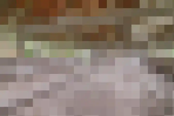 Kanaaldijk 3 Nederweert thumbnail 63