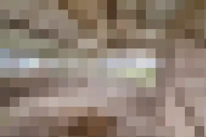 Kanaaldijk 3 Nederweert thumbnail 64