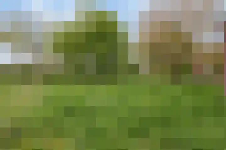 Kanaaldijk 3 Nederweert thumbnail 65