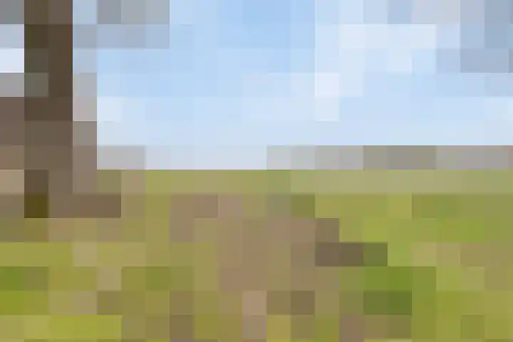 Kanaaldijk 3 Nederweert thumbnail 66