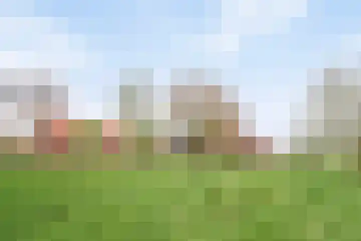 Kanaaldijk 3 Nederweert thumbnail 67