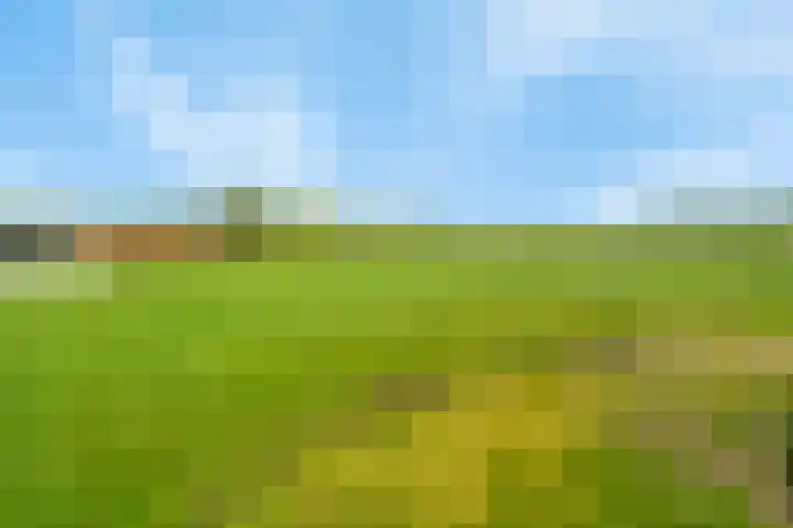Kanaaldijk 3 Nederweert thumbnail 68