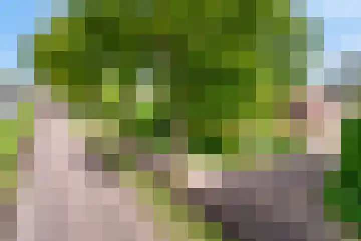 Kanaaldijk 3 Nederweert thumbnail 69