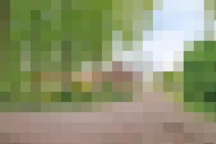 Kanaaldijk 3 Nederweert thumbnail 7