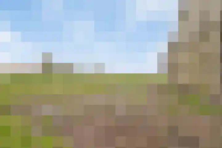 Kanaaldijk 3 Nederweert thumbnail 70