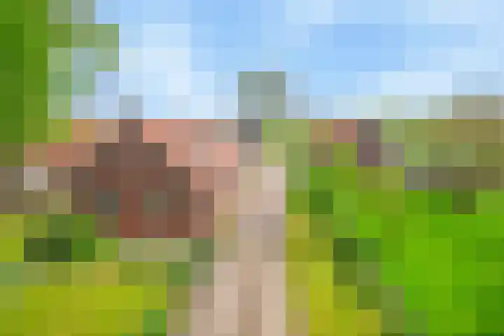 Kanaaldijk 3 Nederweert thumbnail 79