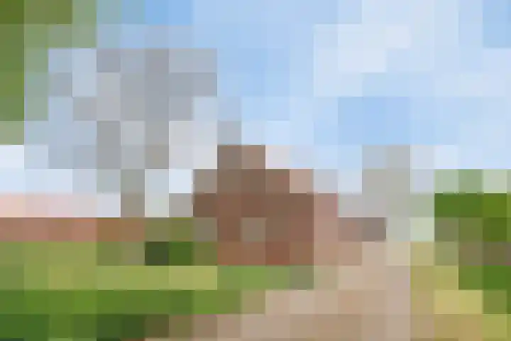 Kanaaldijk 3 Nederweert thumbnail 8
