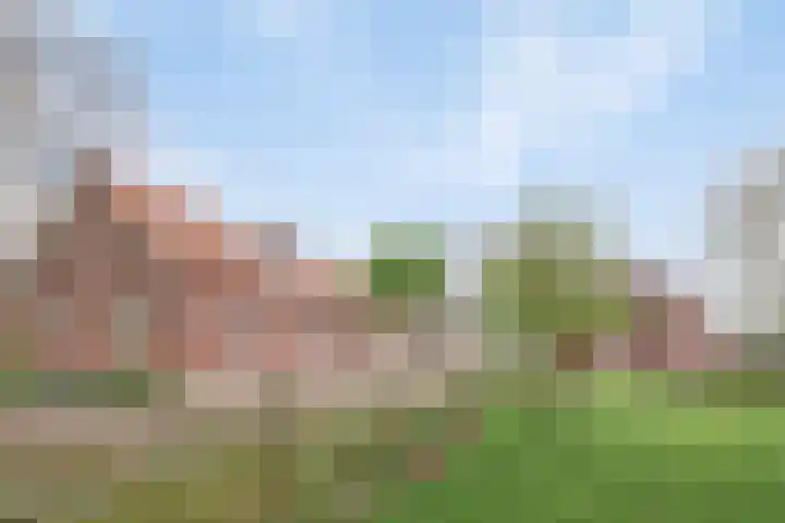 Kanaaldijk 3 Nederweert thumbnail 9