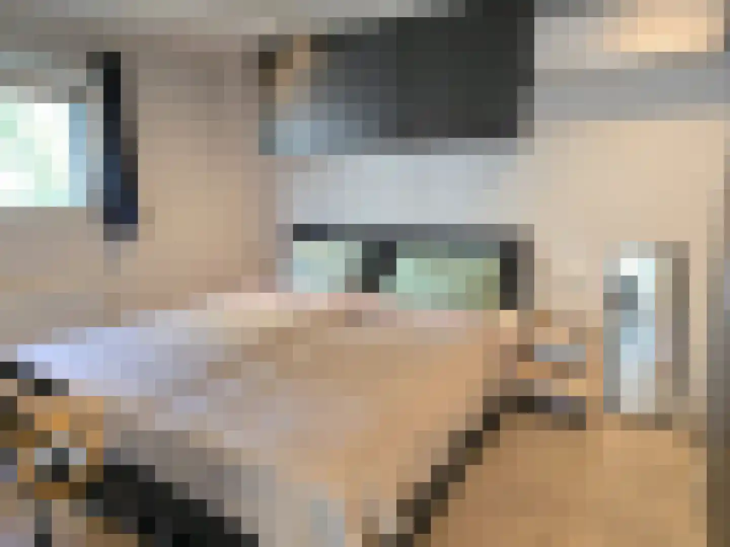 Kanaaldijk 3 Neer thumbnail 14