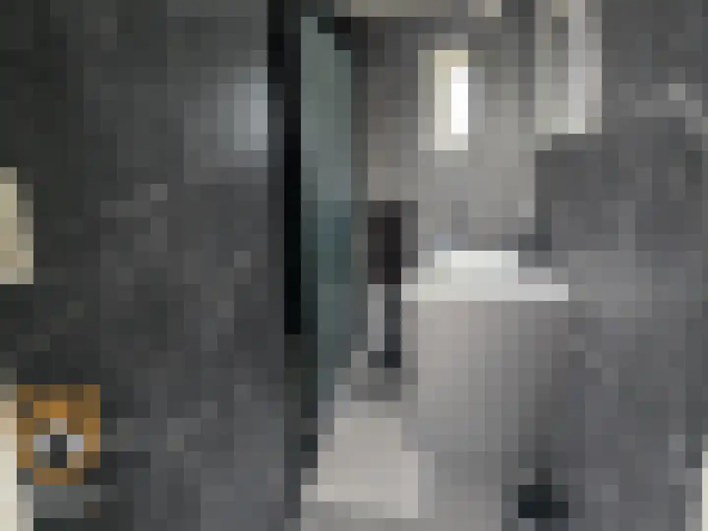 Kanaaldijk 3 Neer thumbnail 20