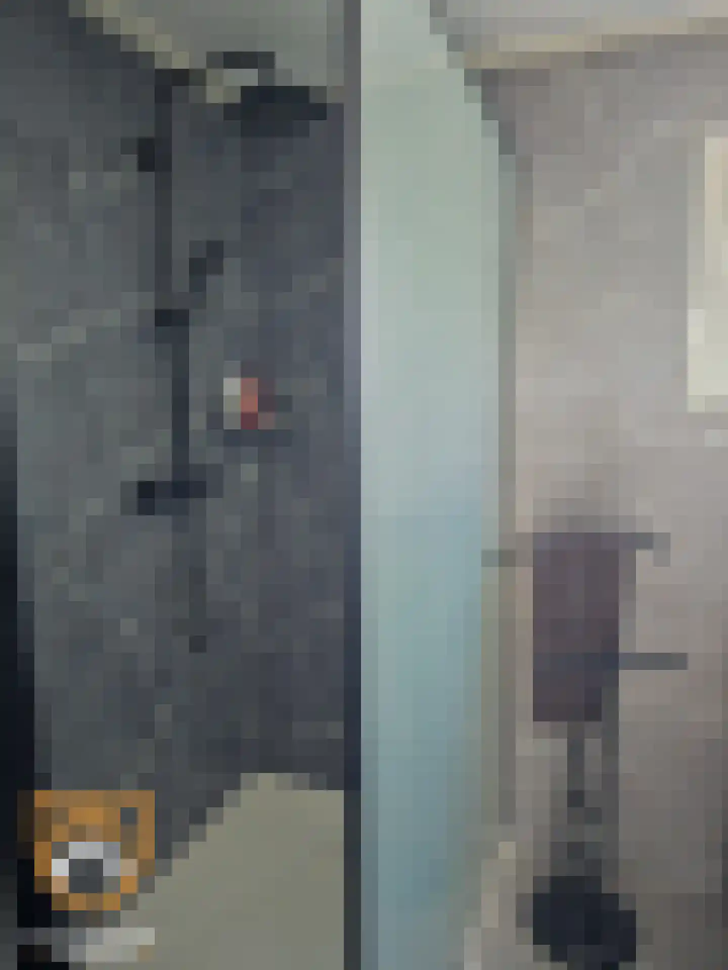 Kanaaldijk 3 Neer thumbnail 22