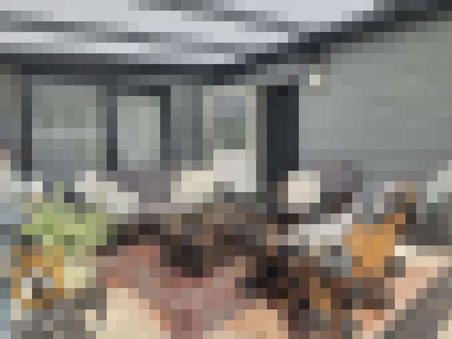 Kanaaldijk 3 Neer thumbnail 29