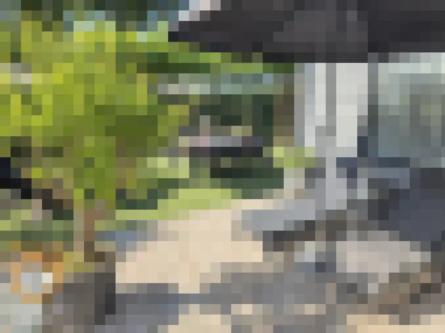 Kanaaldijk 3 Neer thumbnail 33