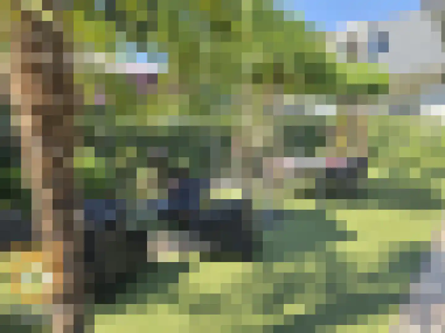 Kanaaldijk 3 Neer thumbnail 36