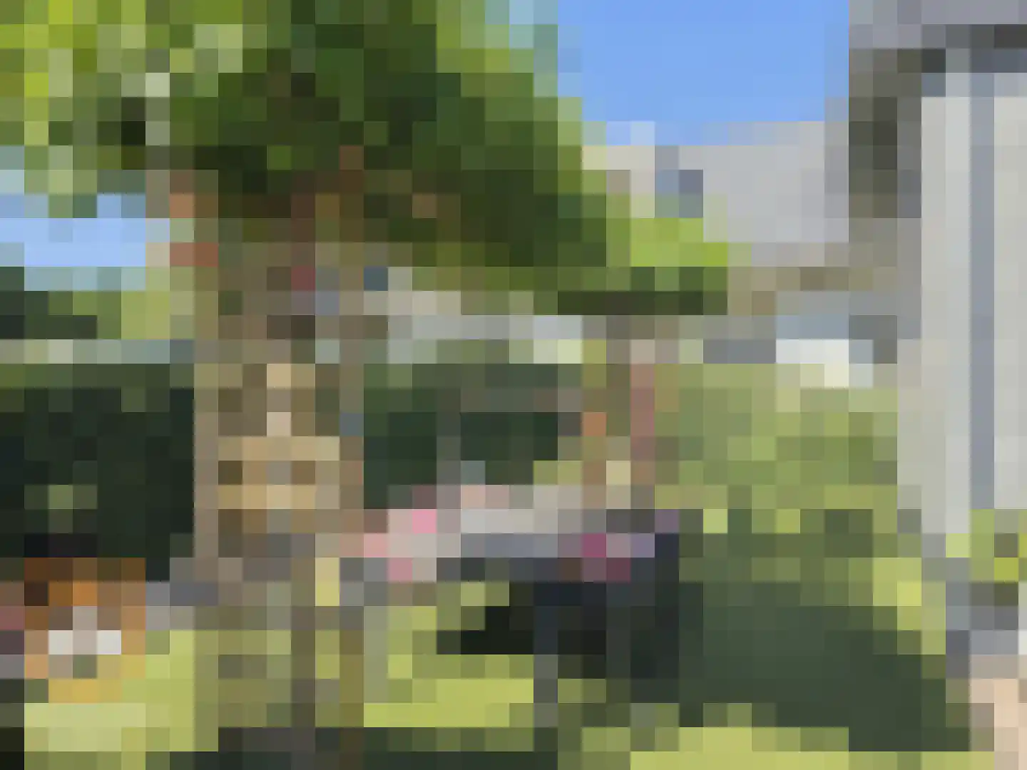 Kanaaldijk 3 Neer thumbnail 37