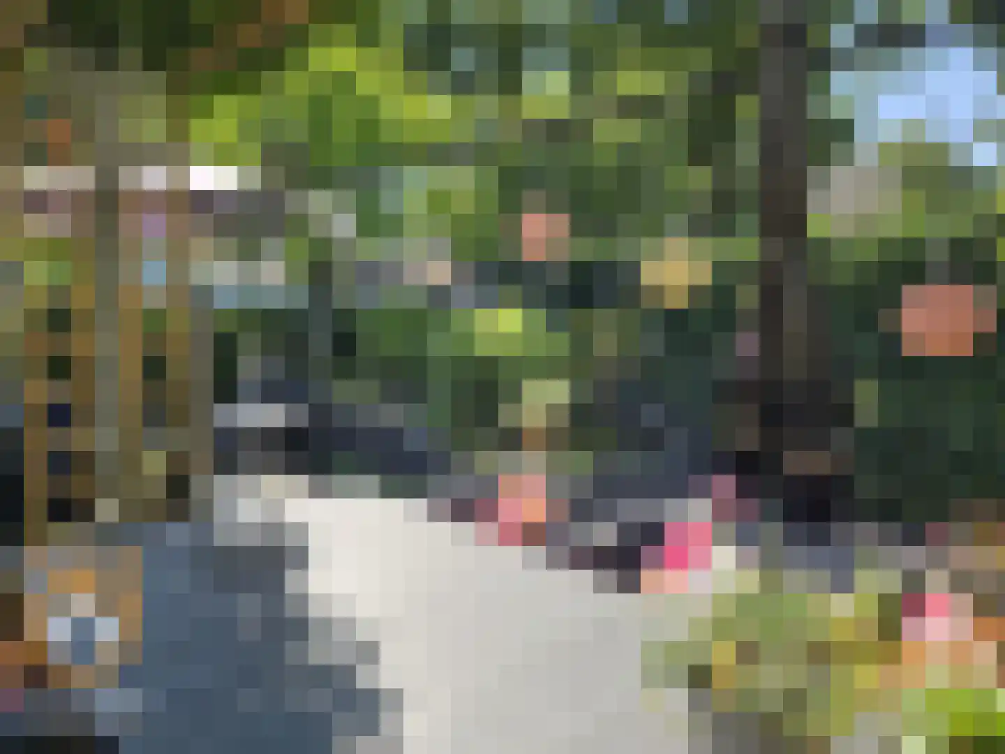 Kanaaldijk 3 Neer thumbnail 38