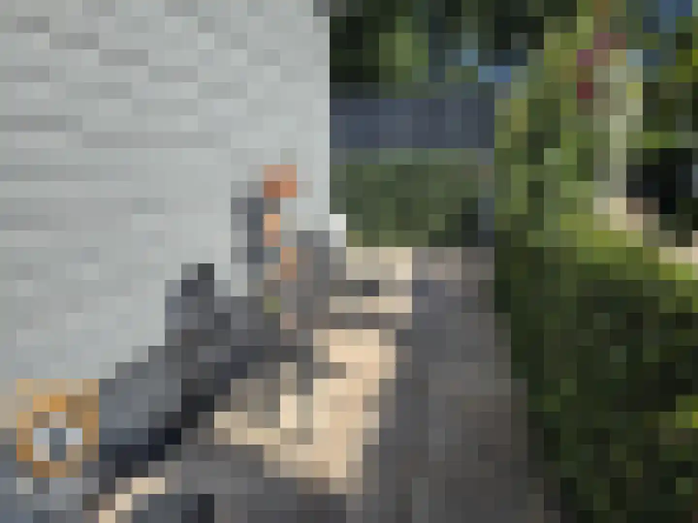 Kanaaldijk 3 Neer thumbnail 41