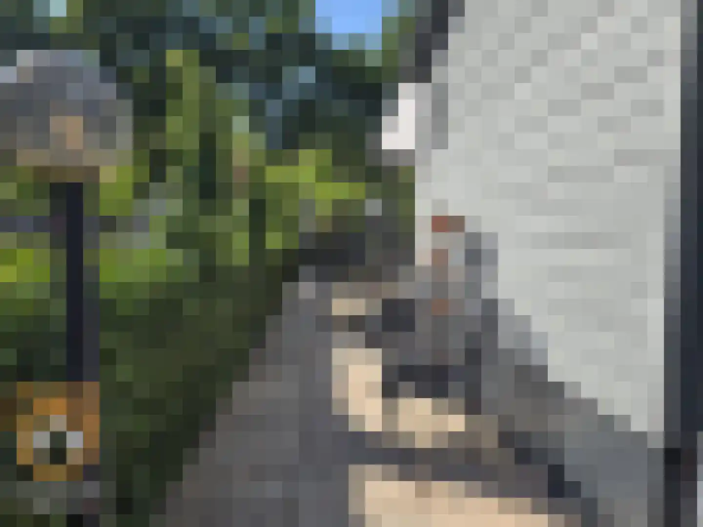 Kanaaldijk 3 Neer thumbnail 42