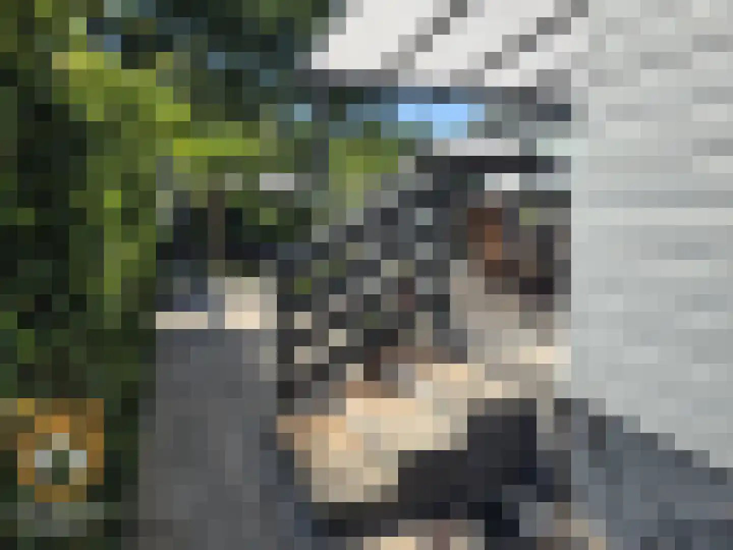 Kanaaldijk 3 Neer thumbnail 43