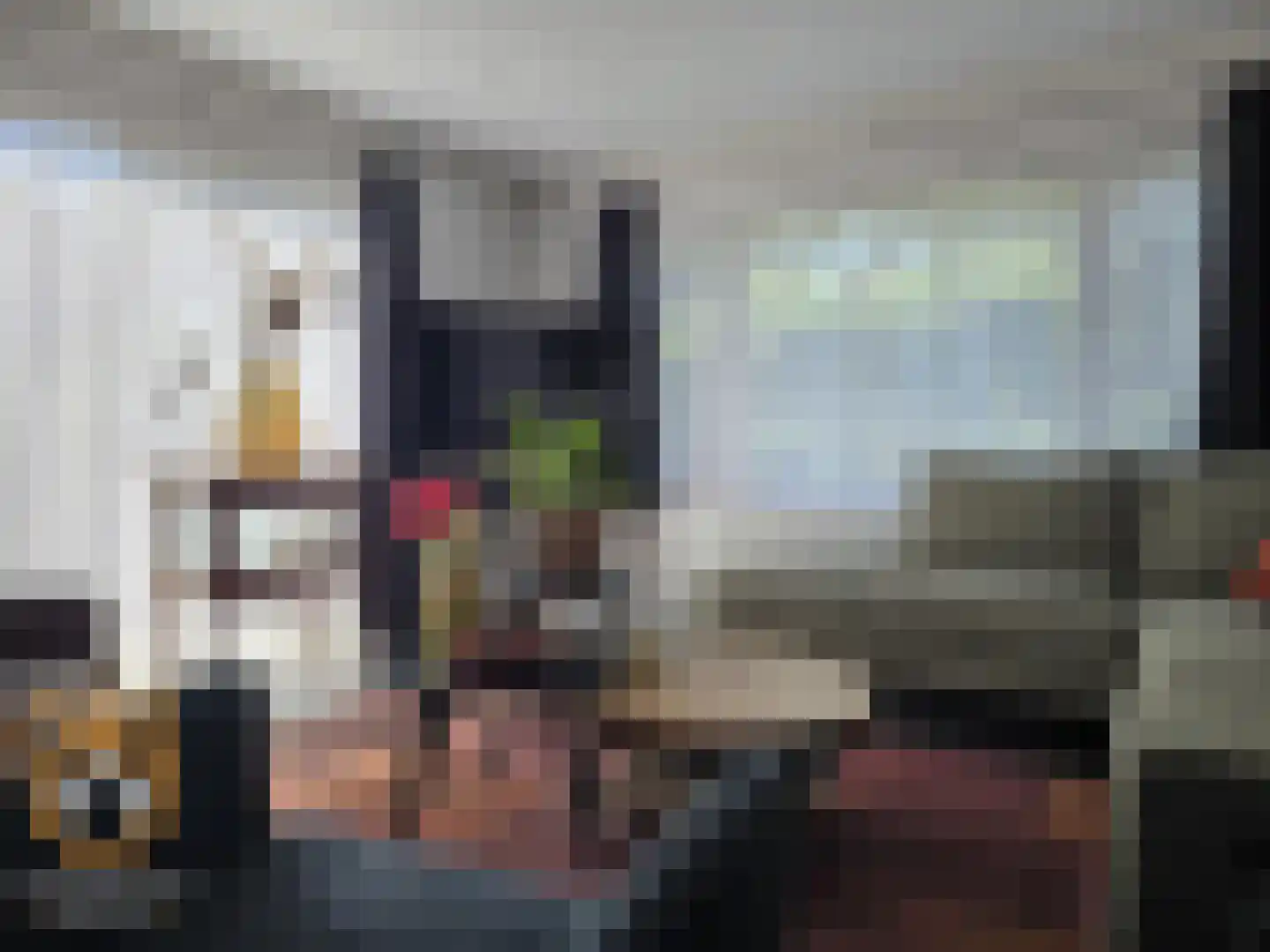 Kanaaldijk 3 Neer thumbnail 5