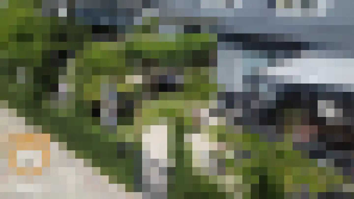Kanaaldijk 3 Neer thumbnail 51