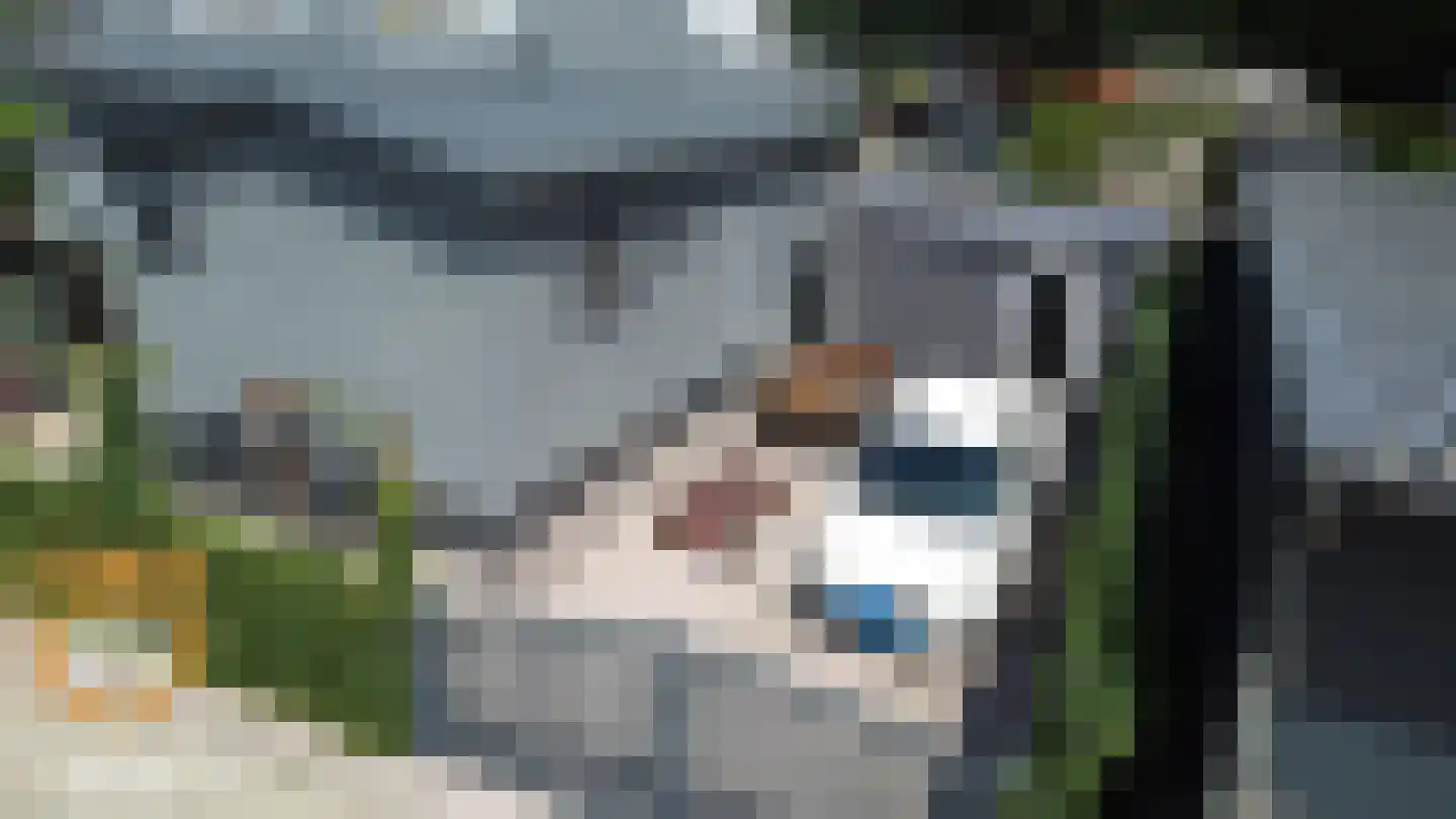 Kanaaldijk 3 Neer thumbnail 52