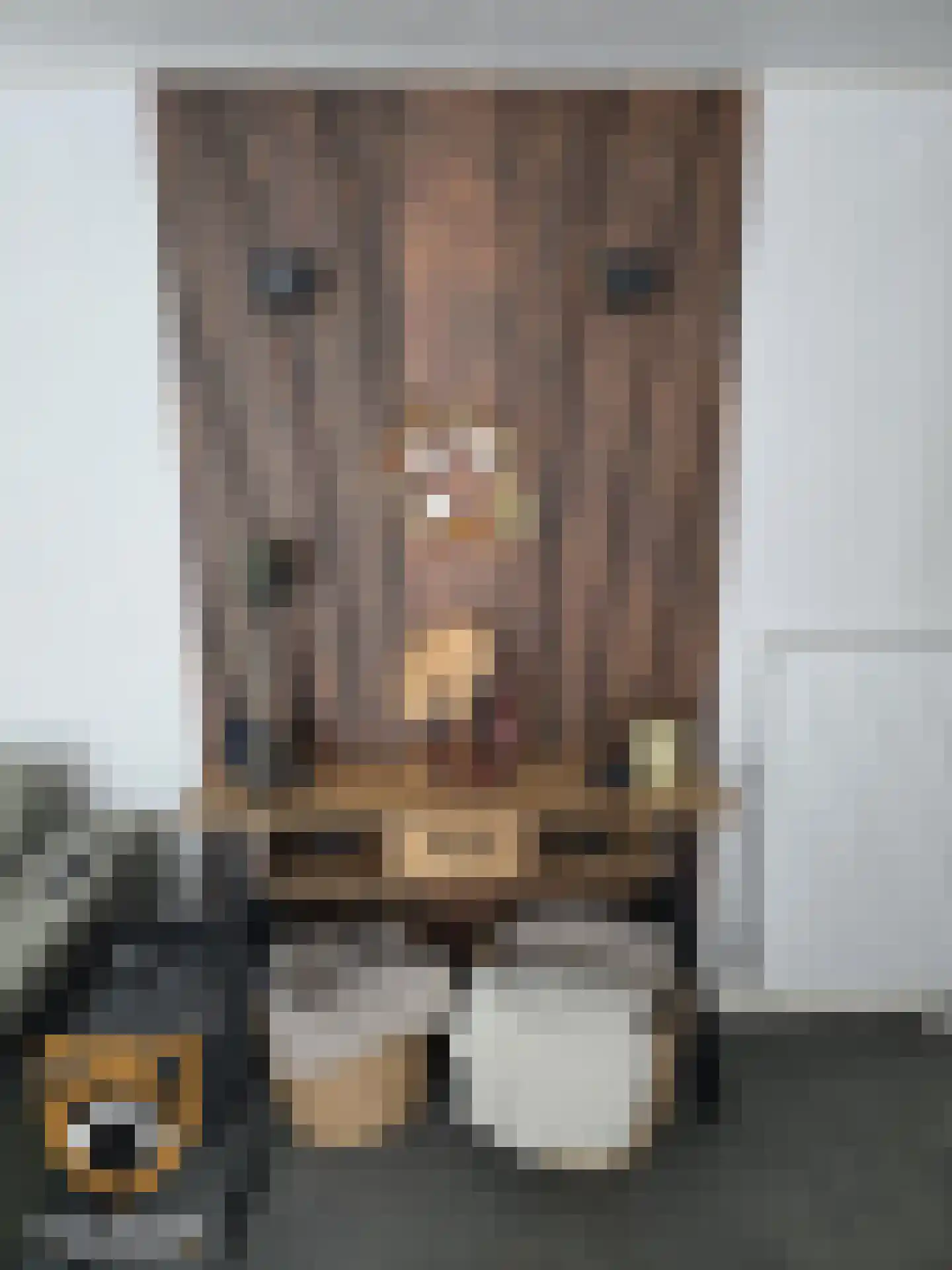 Kanaaldijk 3 Neer thumbnail 8