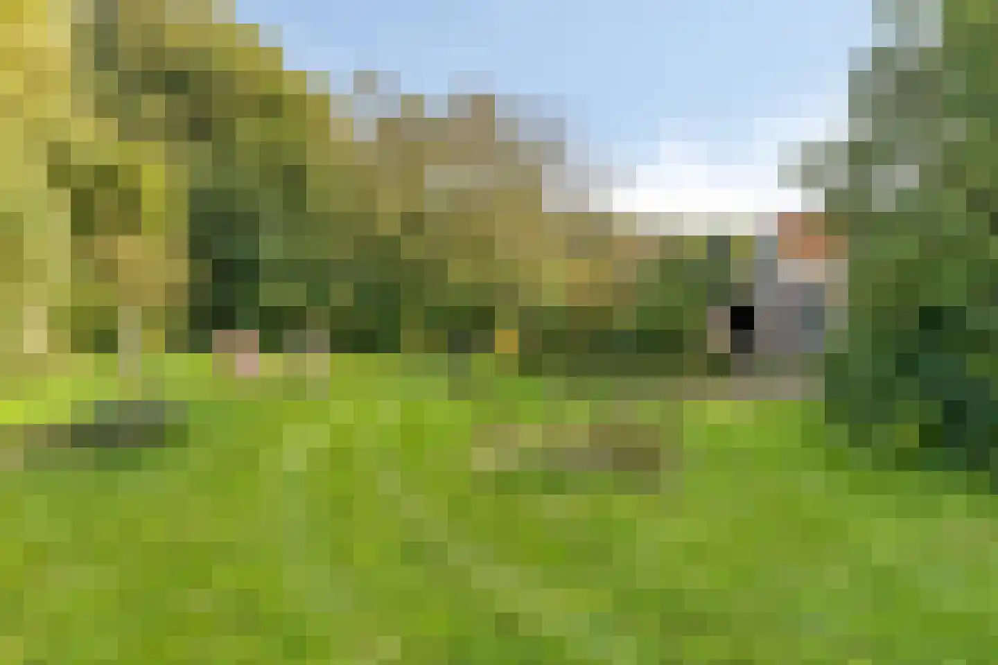 Kanaaldijk 54 Wijdewormer thumbnail 31