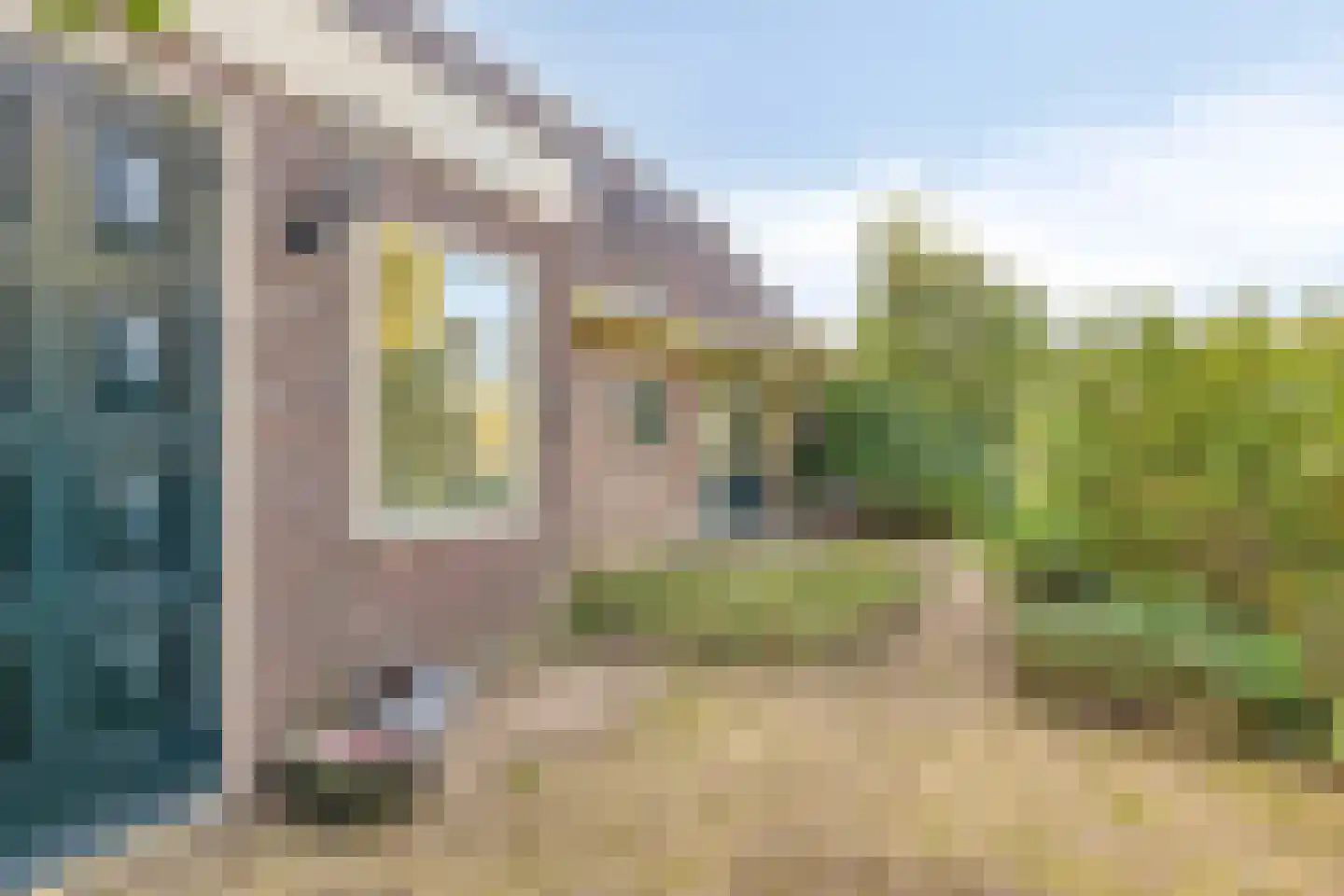 Kanaaldijk 54 Wijdewormer thumbnail 33