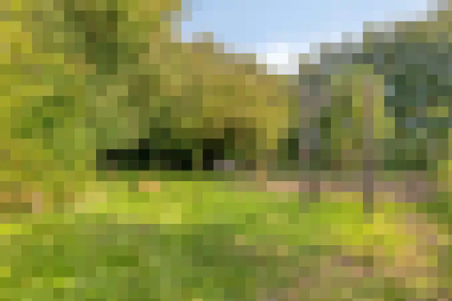 Kanaaldijk 54 Wijdewormer thumbnail 35