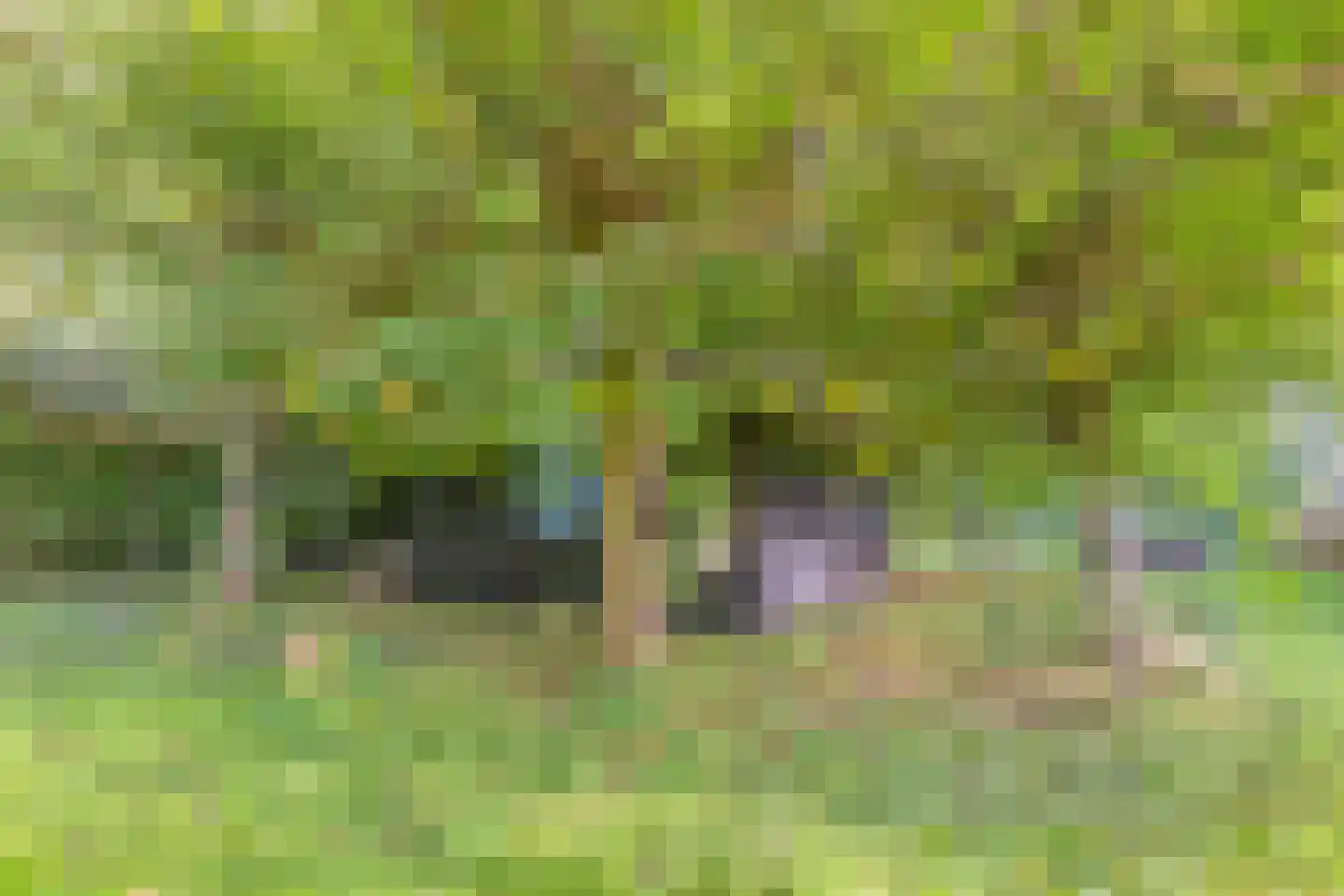 Kanaaldijk 54 Wijdewormer thumbnail 37