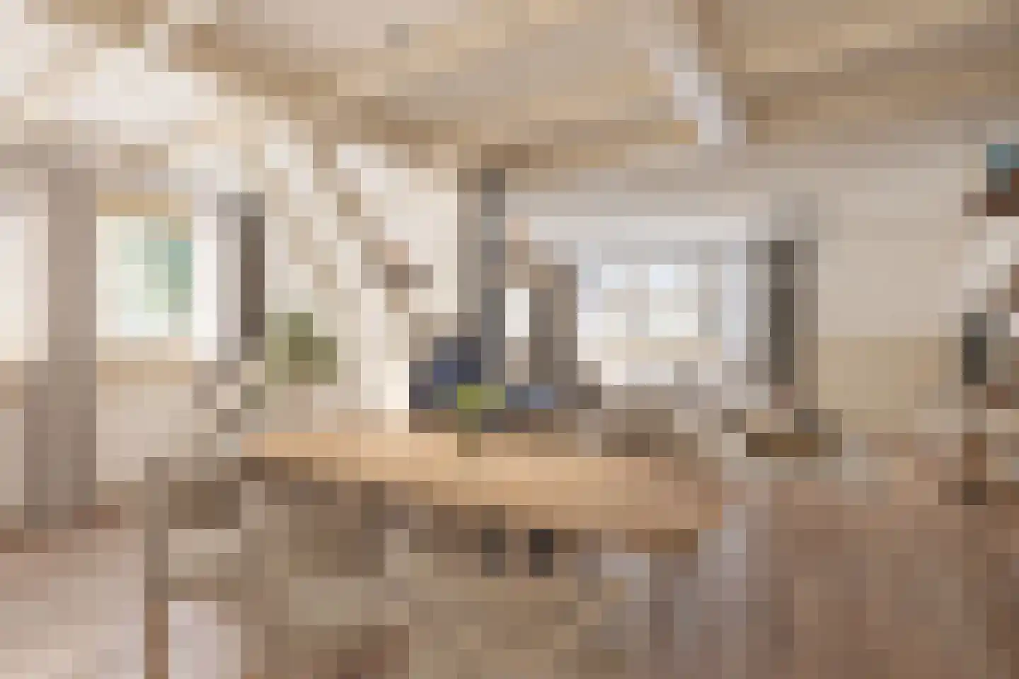 Kanaaldijk 54 Wijdewormer thumbnail 6