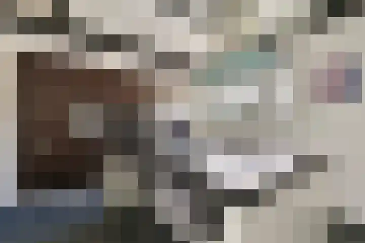 Kanaaldijk 58 Koedijk thumbnail 4