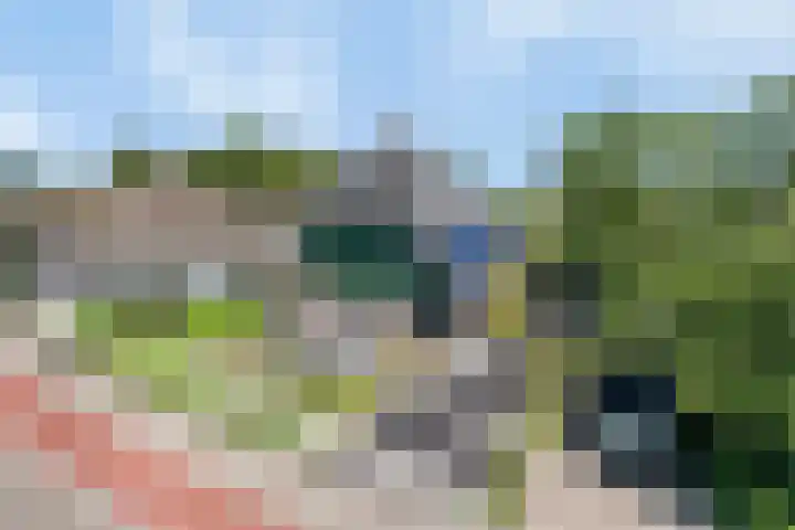 Kanaaldijk 58 Koedijk thumbnail 46