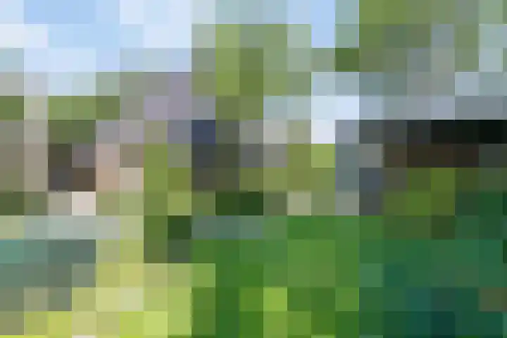 Kanaaldijk 58 Koedijk thumbnail 5