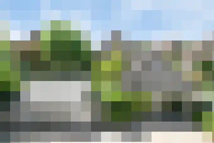 Kanaaldijk 58 Koedijk thumbnail 51
