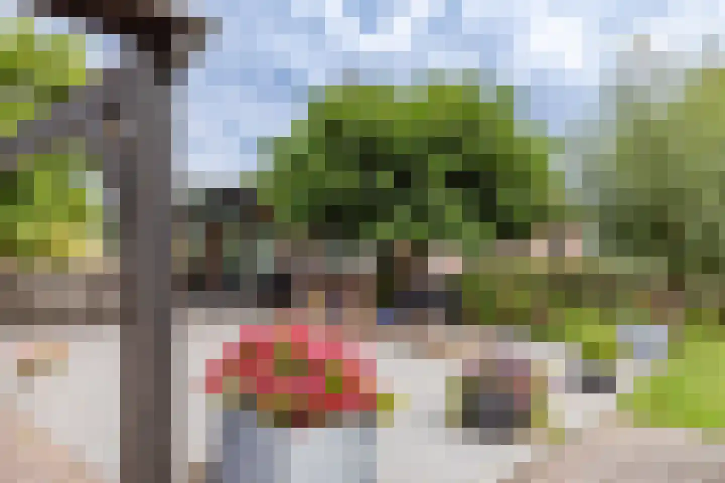 Kanaaldijk 6 Landsmeer thumbnail 24