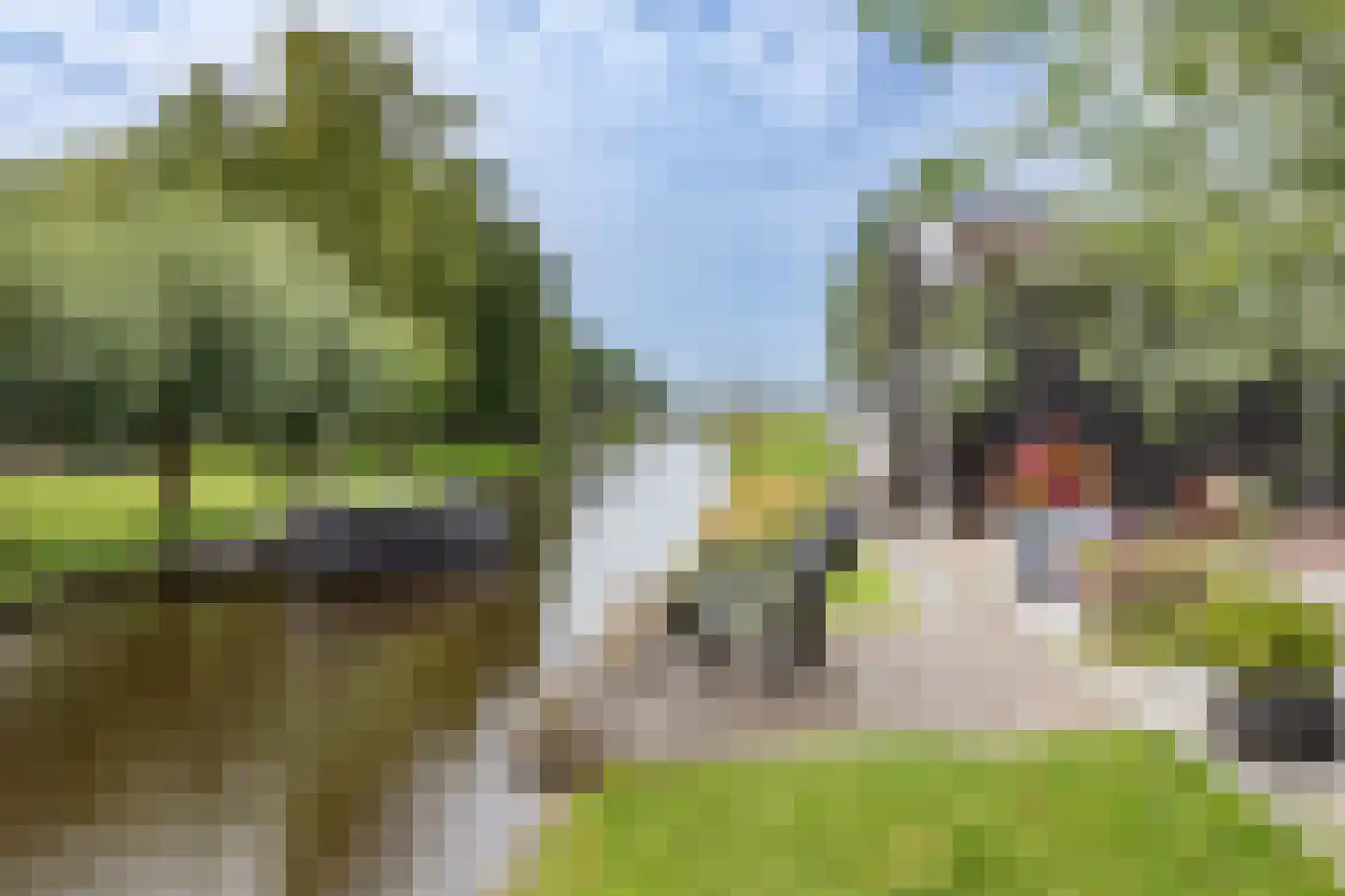 Kanaaldijk 6 Landsmeer thumbnail 25