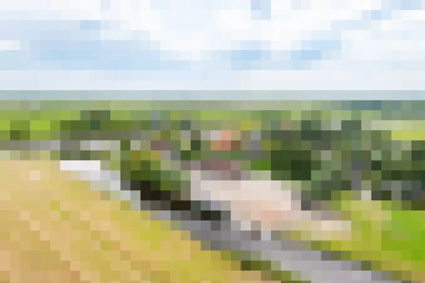 Kanaaldijk 6 Landsmeer thumbnail 30