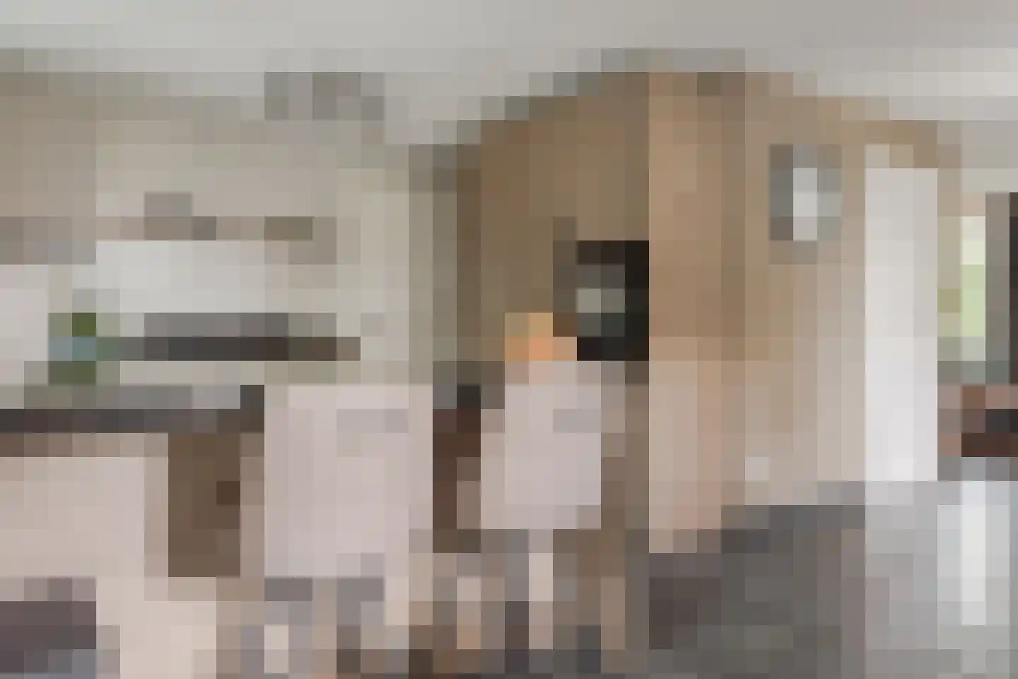 Kanaaldijk 6 Landsmeer thumbnail 9